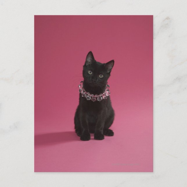 Postal Gatito negro con collar de joyas (Anverso)