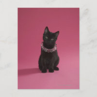 Gatito negro con collar de joyas
