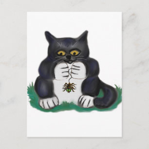 Postal Gatito negro de Tuxedo encuentra una araña de jard