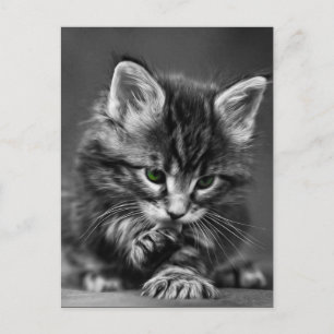 Postal Gatito Oído Verde