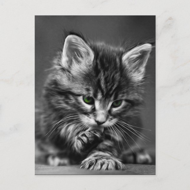 Postal Gatito Oído Verde (Anverso)