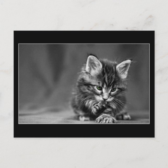 Postal Gatito Oído Verde (Anverso)