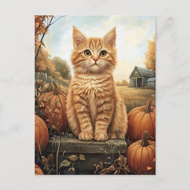 Postal Gatito otoñal con calabazas (Anverso)