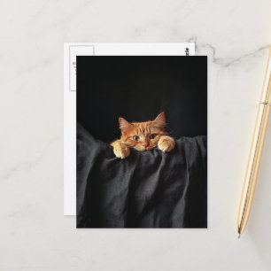Postal Gatito pelirrojo adorable que te mira