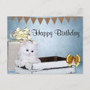 Postal Gatito persa blanco cumpleaños