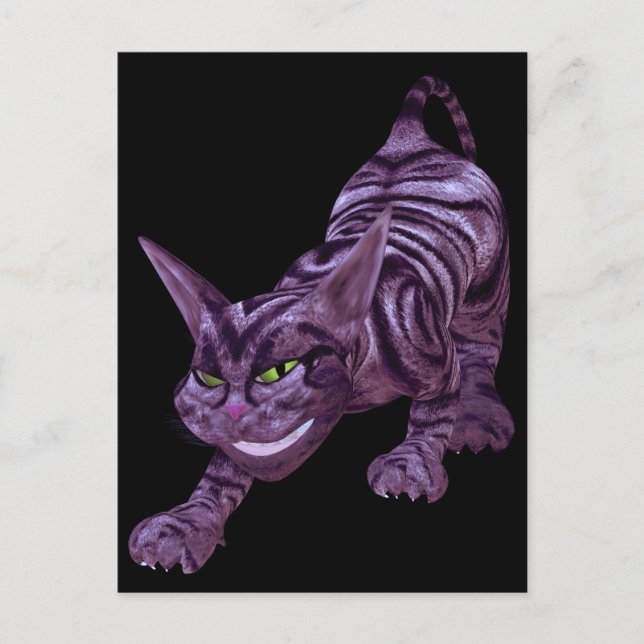 Postal gatito quesire (Anverso)