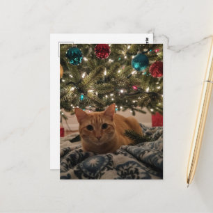 Postal Gatito Rojizo Bajo el Árbol de Navidad