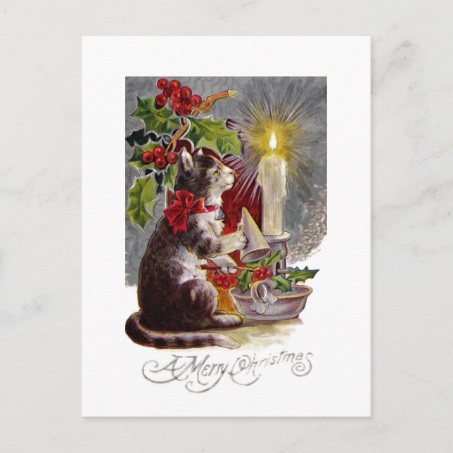 Postal Gatito sacando una vela (Anverso)