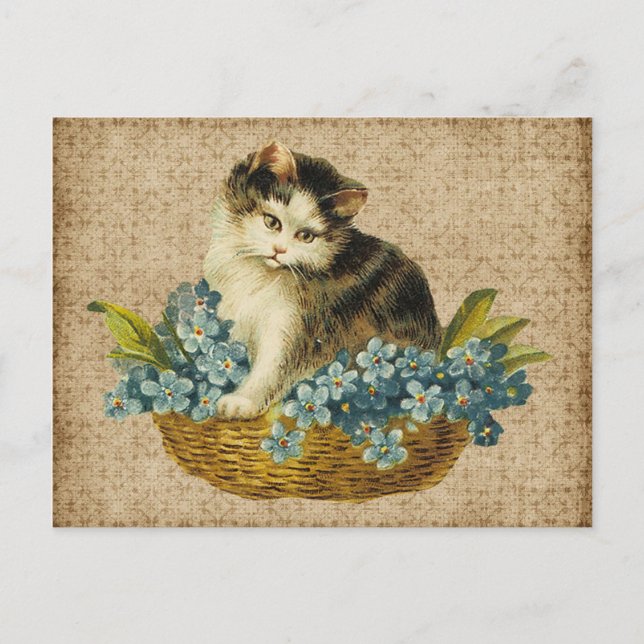Postal gatito vintage en canasta (Anverso)