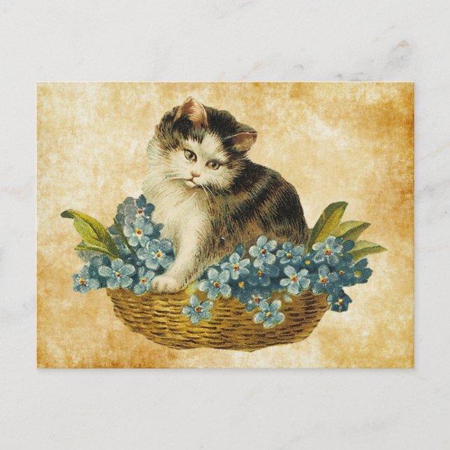 Postal gatito vintage en canasta (Anverso)