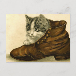 Postal gatito vintage en zapato