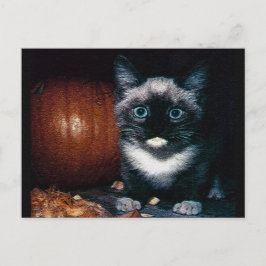 Postal Gatito y calabaza para Halloween