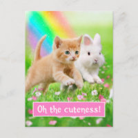 Gatito y conejo con arcoiris
