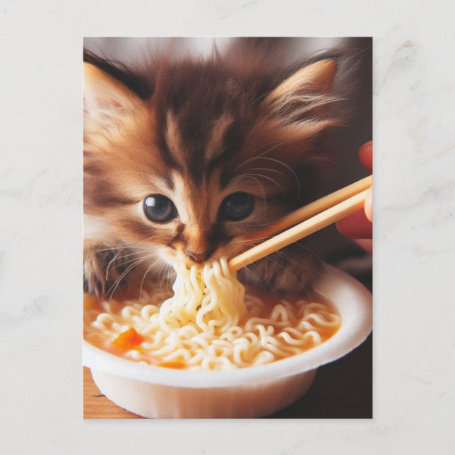 Postal Gatitos Adorables Comer Fideos (Anverso)