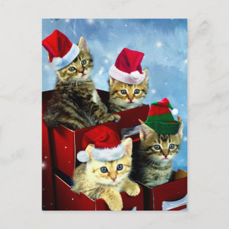 Postal Gatitos con gorras de x-mas