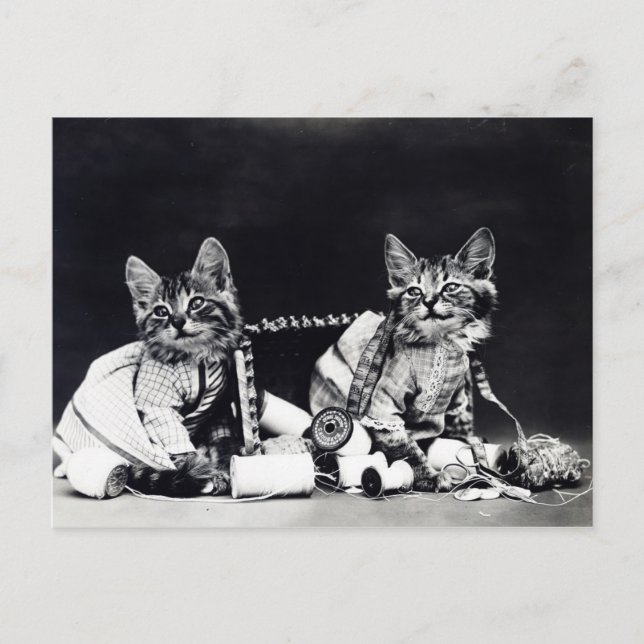 Postal Gatitos de costura vintage en blanco y negro (Anverso)