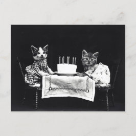 Postal Gatitos de cumpleaños