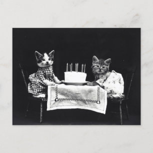Postal Gatitos de cumpleaños