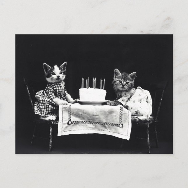 Postal Gatitos de cumpleaños (Anverso)