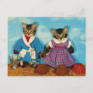 Postal gatitos de mesa jugando en la playa RPPC