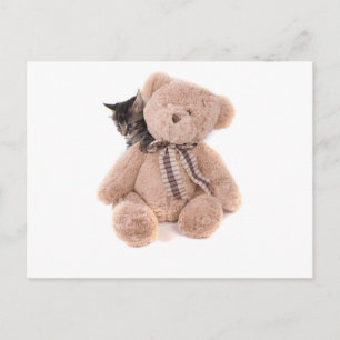 Postal gatitos de tabby jugando con un oso de peluche