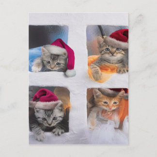 Postal Gatitos de X-mas en ventanas