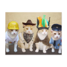 Gatitos del pueblo