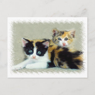 Postal Gatitos divertidos frente a frente