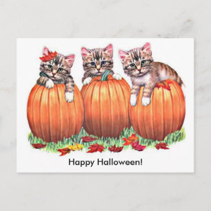 Postal Gatitos en calabazas para Halloween