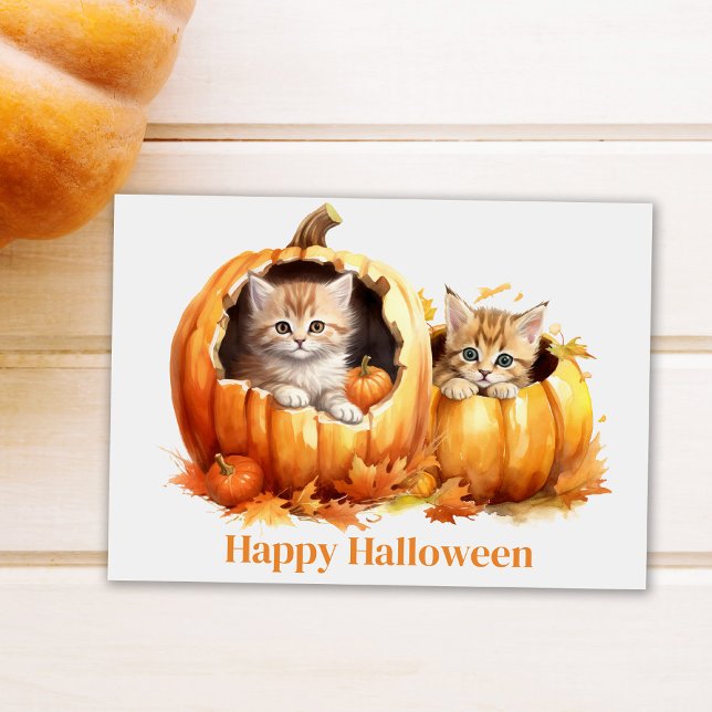 Postal Gatitos en Halloween de calabazas (Cute Kitten in Pumpkin Halloween Postcard on white table next to a pumpkin)