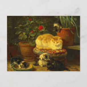 Postal Gatitos en juego