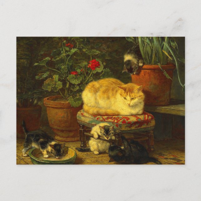 Postal Gatitos en juego (Anverso)