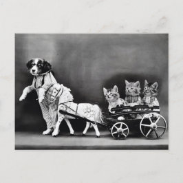 Postal Gatitos en un carro