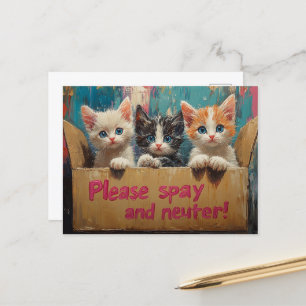 Postal Gatitos en una caja por favor pagados y neutrales