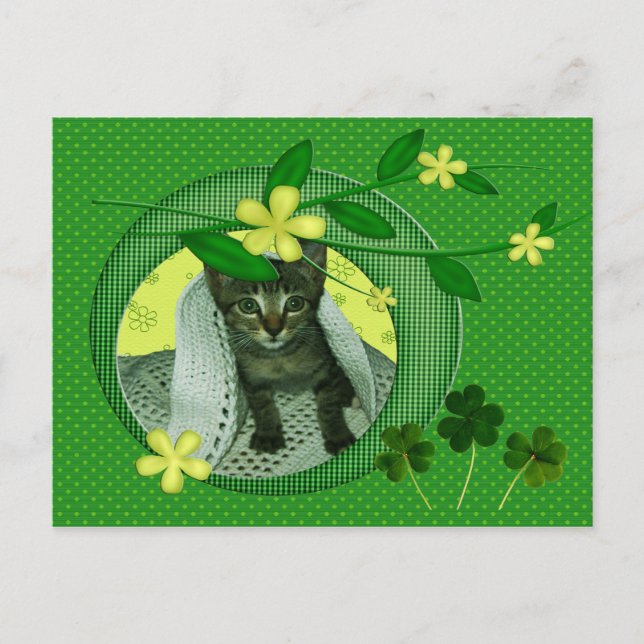 Postal Gatitos, flores, rocas de champú y puntos de polka (Anverso)