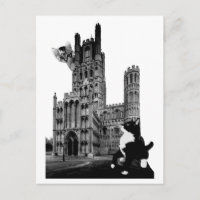 Gatitos jugando en la Catedral de Ely