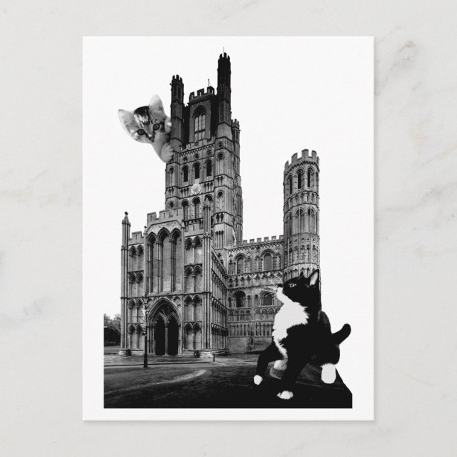 Postal Gatitos jugando en la Catedral de Ely (Anverso)