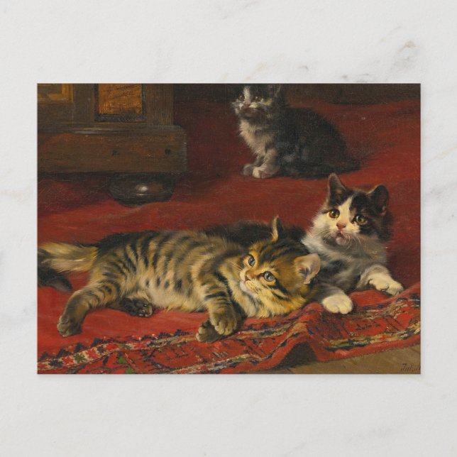 Postal Gatitos | Julius Adam el Joven (Anverso)