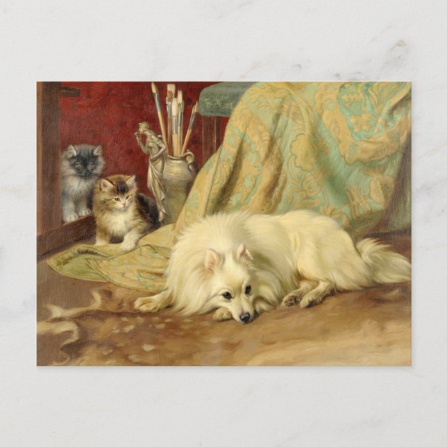 Postal Gatitos Pomeranos Vintage Wright Barker (Anverso)