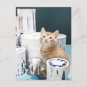 Postal Gatitos sentados entre latas de pintura