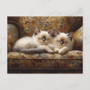Postal Gatitos siameses Napping Vintage Couch