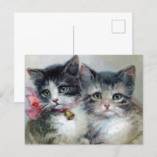 Postal Gatitos suaves y cortos, gatitos adorables,