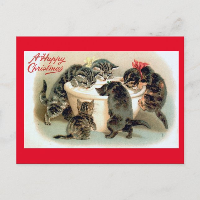 Postal Gatitos, un Navidad feliz, (Anverso)