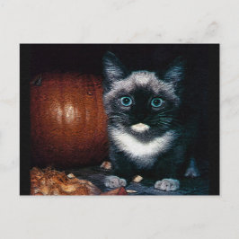 Postal Gatitos y calabaza para Halloween