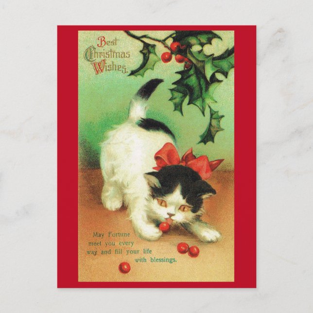 Postal Gatitos y Navidades Holly (Anverso)