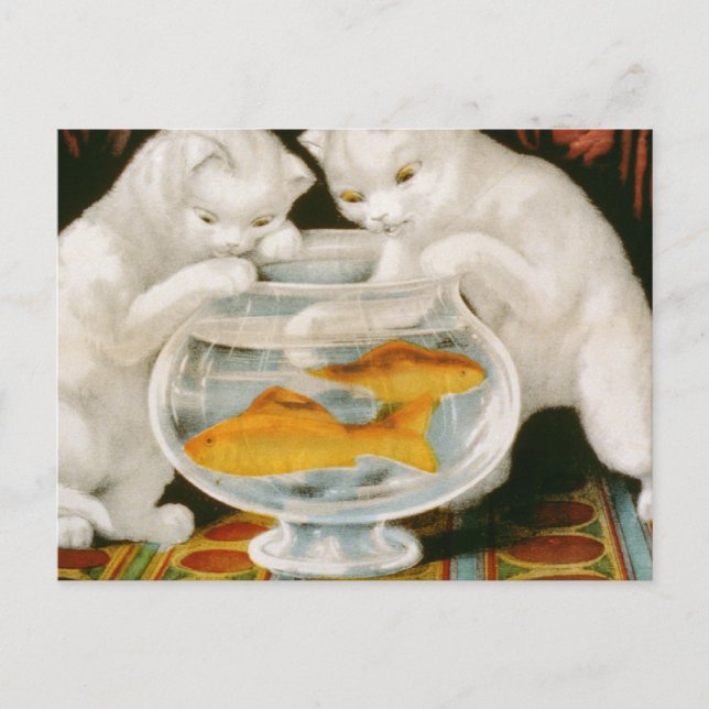 Postal Gatitos y peces de colores (Anverso)