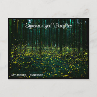 Postal Gatlinburg Tennessee Postcard TN