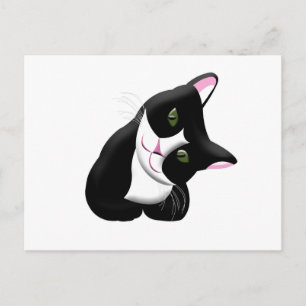 Postal Gato