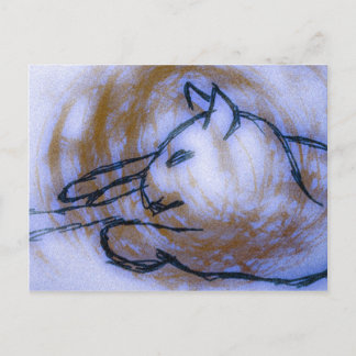 Postal Gato