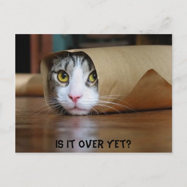 Postal Gato (Anverso)